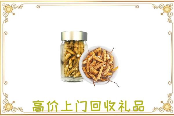 临颍周边回收虫草
